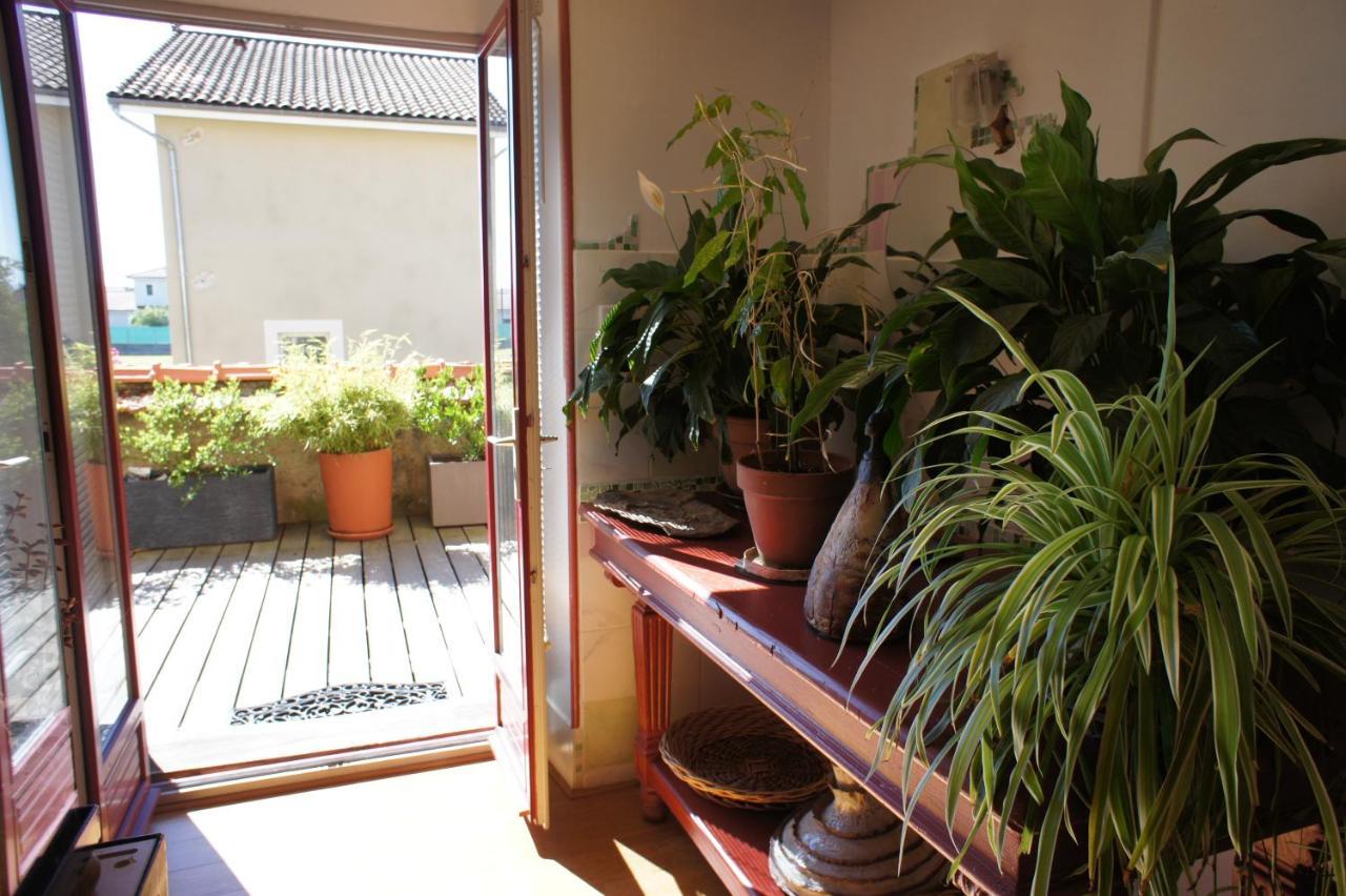 Mas Terre Chambres D'Hotes Lezoux Zewnętrze zdjęcie